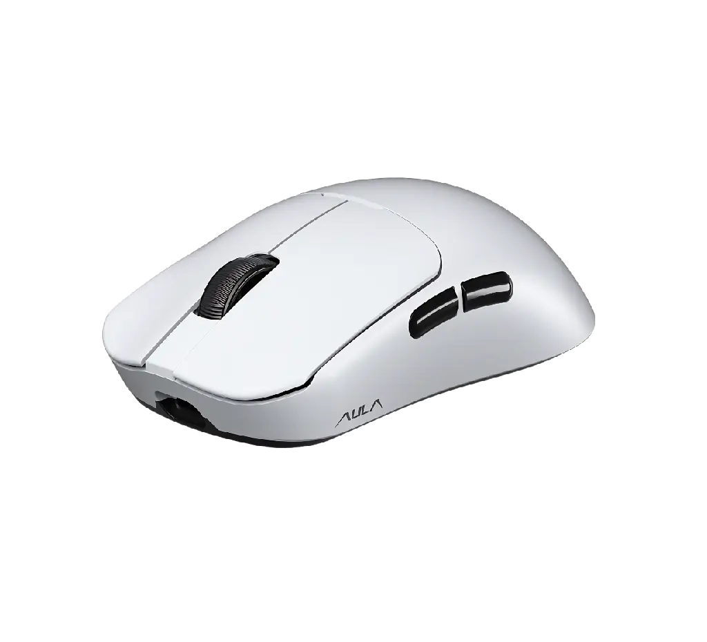aula mouse 3.webp