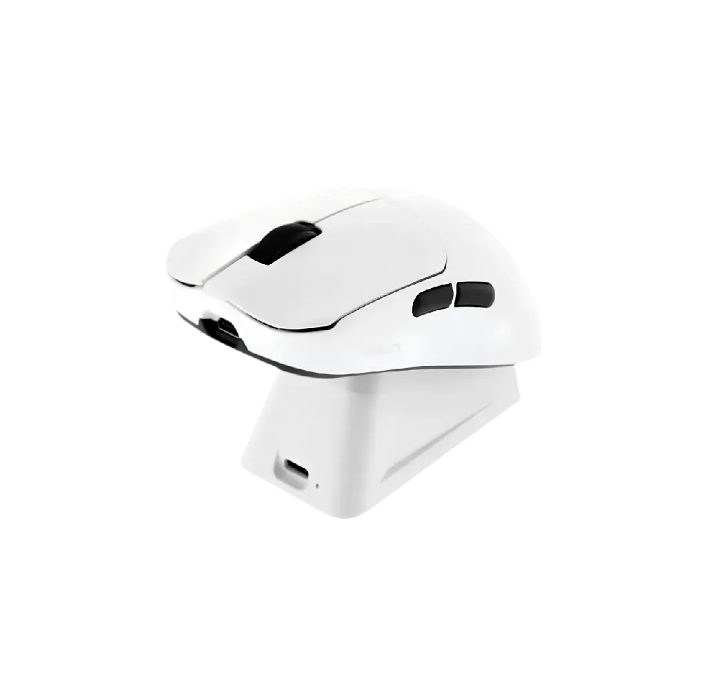aula mouse 2.webp
