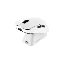 aula mouse 2.webp